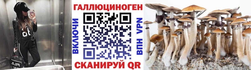 Купить закладки  Анадырь  Галлюциногенные грибы Magic Shrooms 